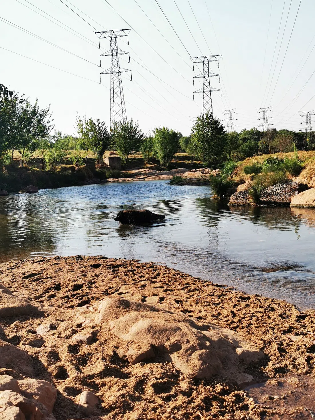 Braamfontein Spruit Trail (Jozi Trails), Johannesburg