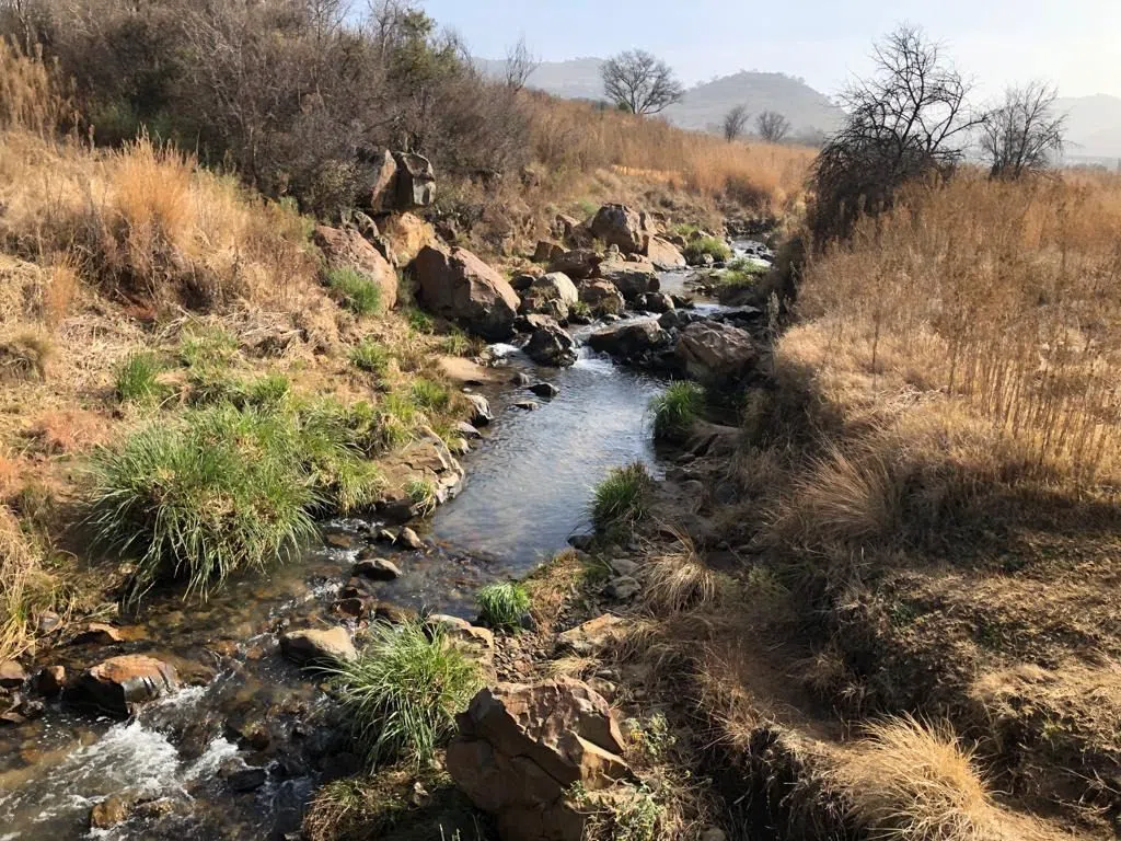 Klipriviersberg Nature Reserve, Johannesburg