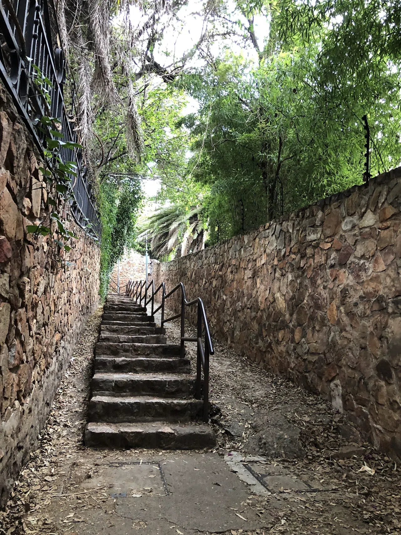 Johannesburg's Ridge Walks Start at the Westcliff Stairs