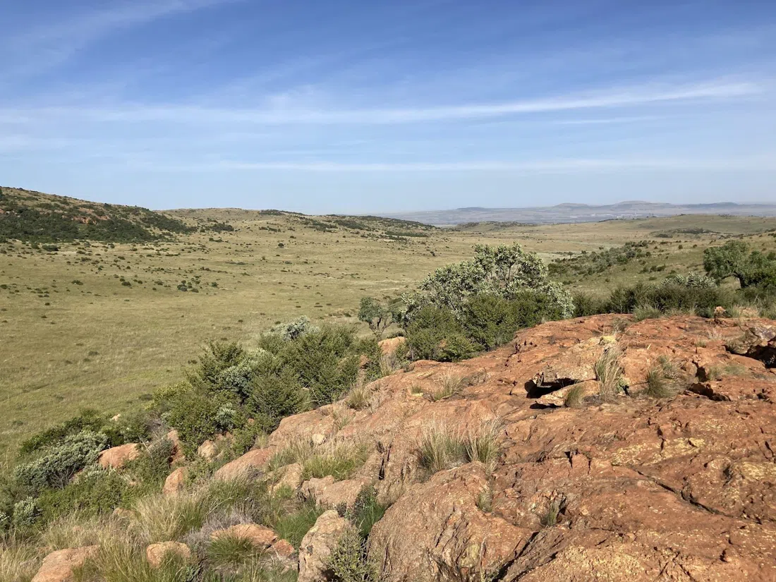 Suikerbosrand Nature Reserve, Johannesburg