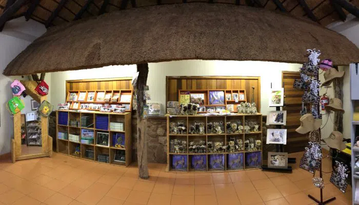 Ann van Dyk Cheetah Centre, Johannesburg