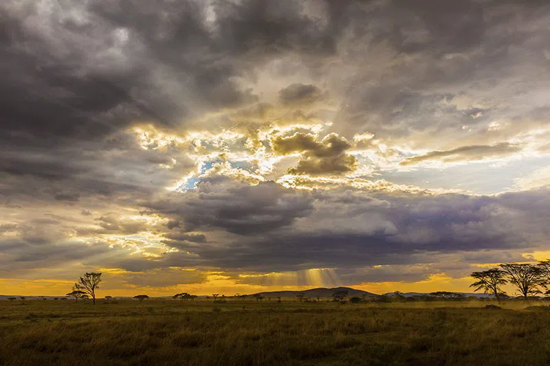 Bothongo Rhino & Lion Nature Reserve, Johannesburg