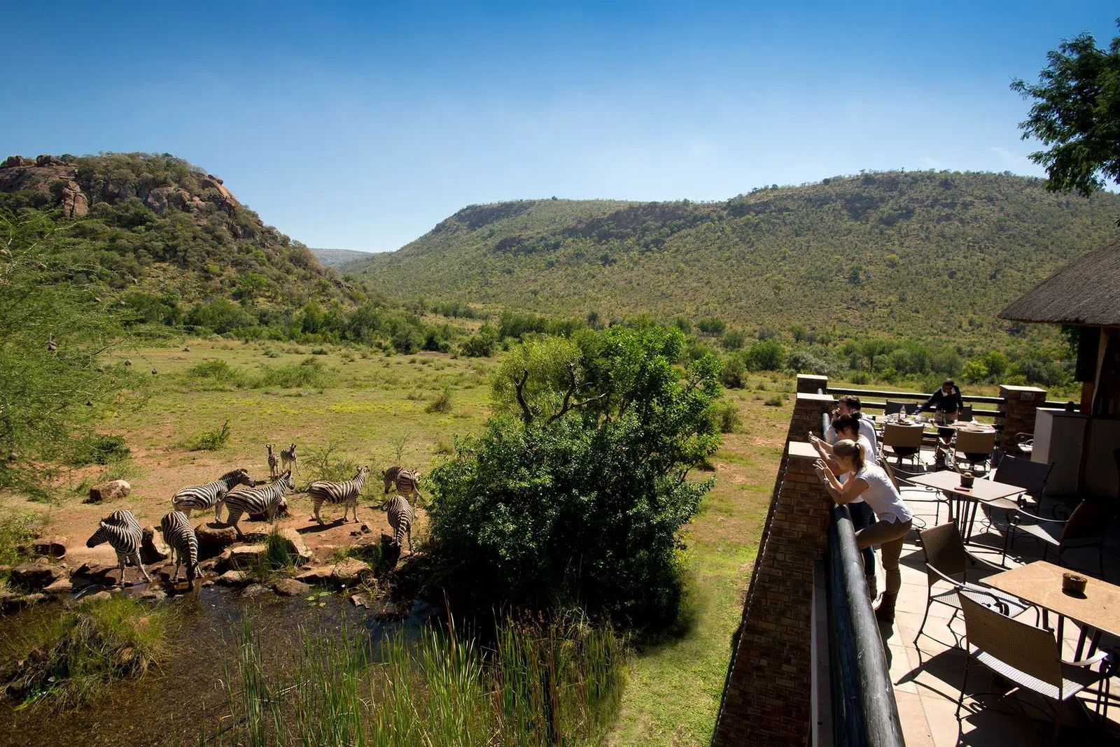 Kwa Maritane Bush Lodge,约翰内斯堡