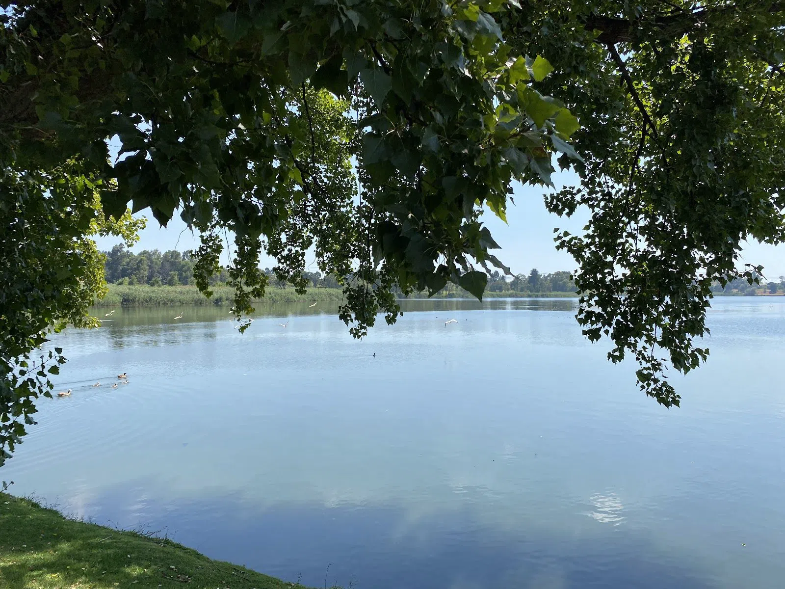 Pioneers Park (Wemmer Pan), Johannesburg